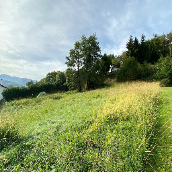 Offres de vente Terrain Saint-Jean-Pied-de-Port 64220