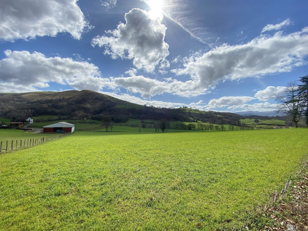 Offres de vente Terrain à batir Saint-Jean-Pied-de-Port 64220