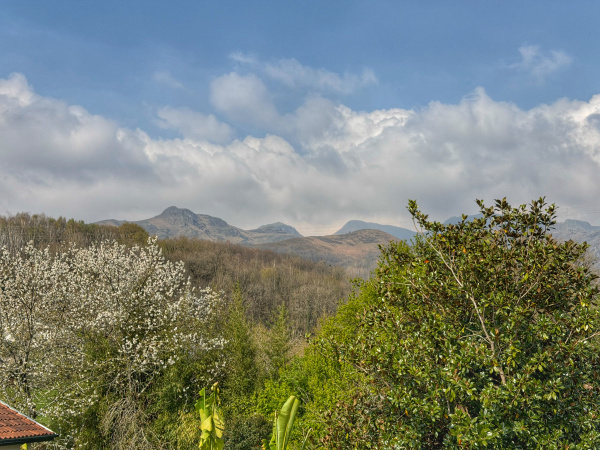 Offres de vente Maison Saint-Étienne-de-Baïgorry 64430