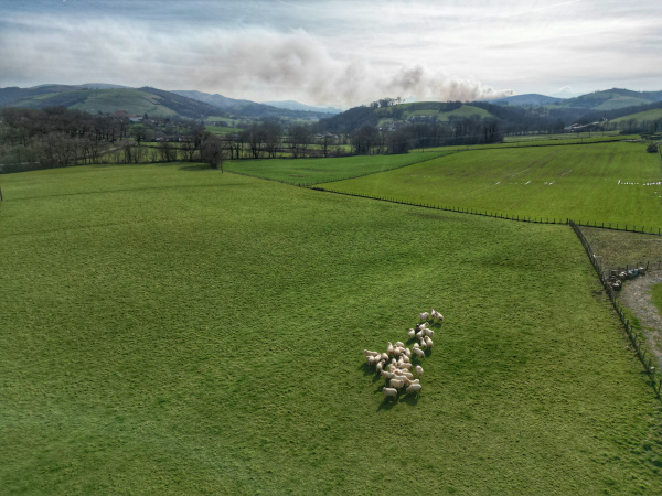 Offres de vente Terrain à batir Irissarry 64780