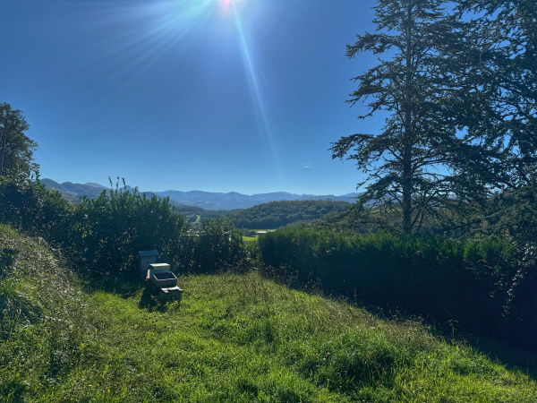 Offres de vente Maison Saint-Jean-Pied-de-Port 64220