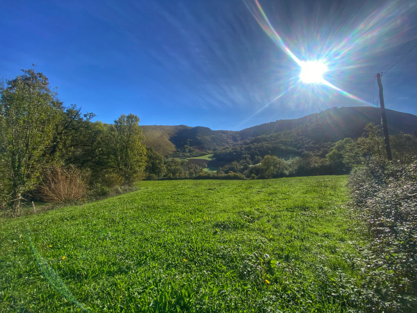 Offres de vente Terrain à batir Larceveau-Arros-Cibits 64120